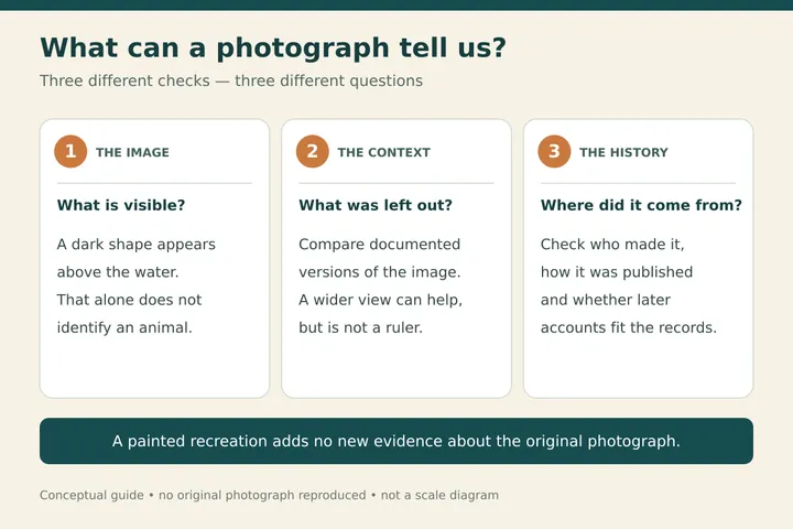 A guide to checking an image, its context and its history