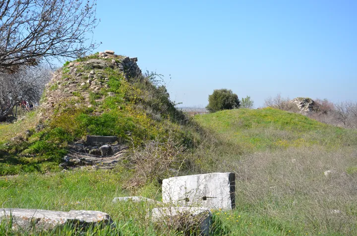 Photograph of masonry ruins, grass and trees at Troy.